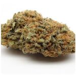 Шишки AK47 (Гидропоника, Бошка) VHQ в Киржаче Шишки AK47 (Гидропоника, Бошка) VHQ в Киржаче